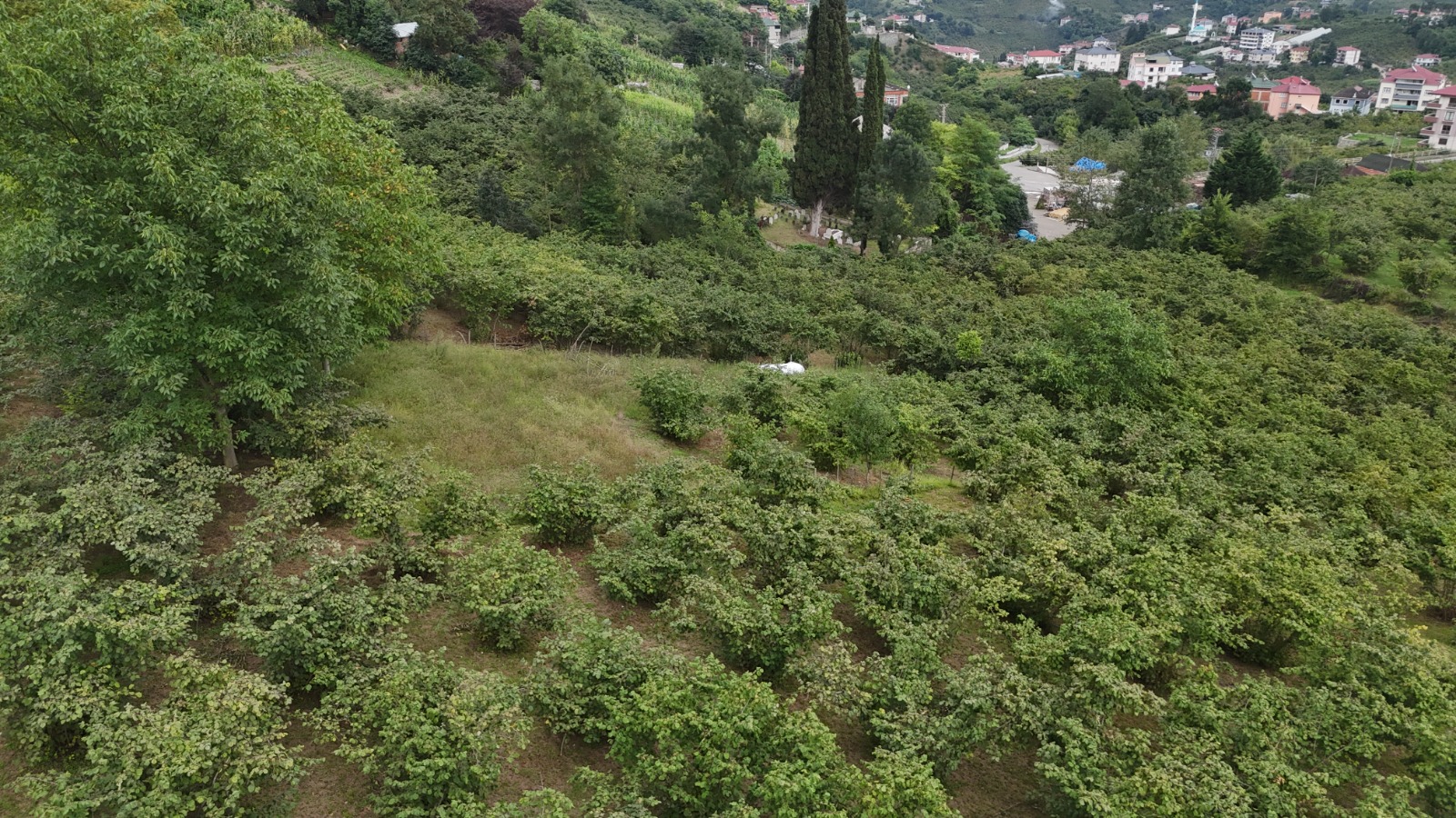 GÜRBULAK / SEYRANTEPE